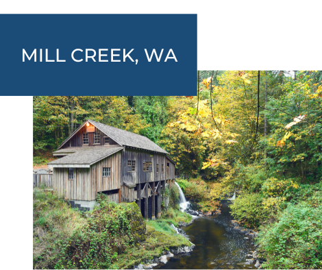 Mill Creek woods